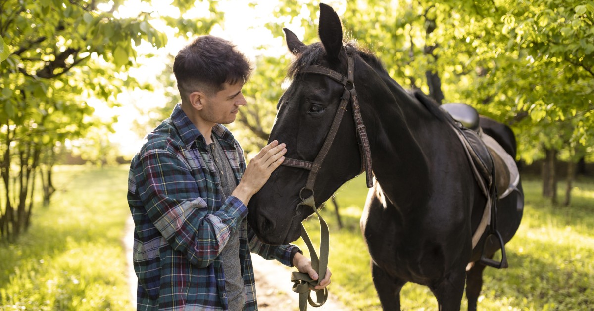 Understanding Horse Behavior: Tips for Better Communication